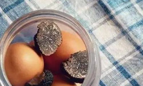 Fresh Black-Boned Chicken:Effective Methods for Room Temperature Preservation