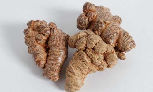 The Proper Way to Consume Fresh Tianqi Notoginseng)