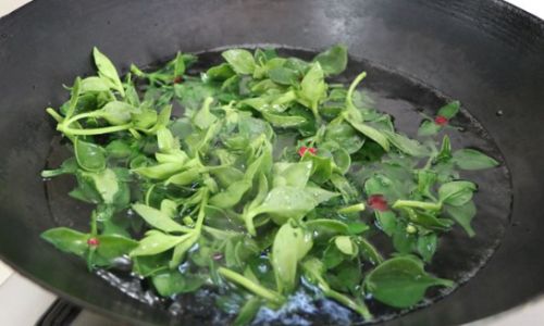 The Proper Way to Consume Fresh Tianqi Notoginseng)