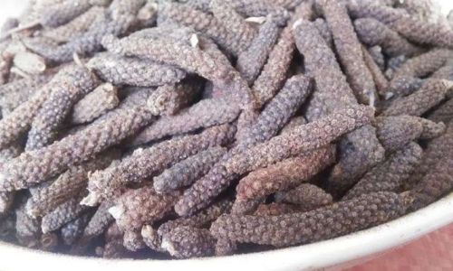 A Comprehensive Guide to Identifying the Quality of Fresh Gastrodia Elata Tianma)