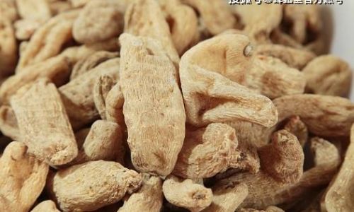 A Comprehensive Guide to Identifying the Quality of Fresh Gastrodia Elata Tianma)