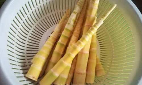 How Long Should Fresh Bamboo Shoots Be Boiled?