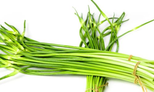 How to Preserve Fresh Garlic Scapes and Keep Them Delicious