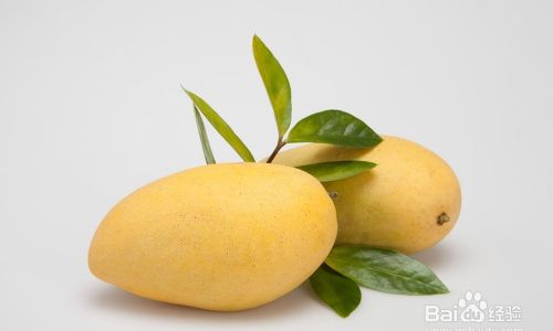 Preserving Fresh Sour Papaya:Techniques and Tips for Optimal Freshness