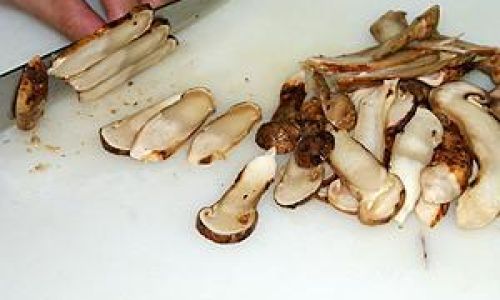 How to Clean and Preserve Fresh Matsutake Mushrooms