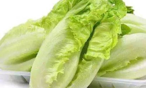 How Long Can Fresh Vegetables Last in the Refrigerator?