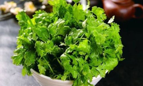 How Long Can Fresh Vegetables Last in the Refrigerator?