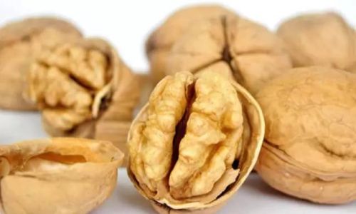 Preserving Fresh Green Walnuts:A Comprehensive Guide