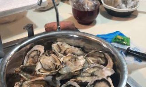 Preserving Fresh Oysters:A Comprehensive Guide