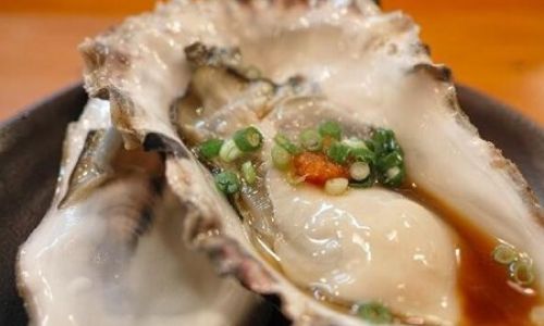 Preserving and Storing Fresh Oyster Meat:A Comprehensive Guide