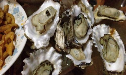 Delightful Culinary Adventures with Fresh Oysters:Exploring Exquisite Preparations