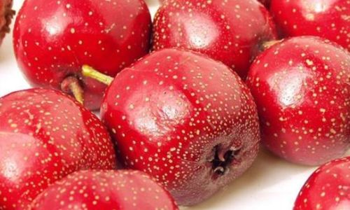 Discovering the Best Ways to Enjoy Fresh Hawthorn