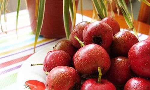 Discovering the Best Ways to Enjoy Fresh Hawthorn