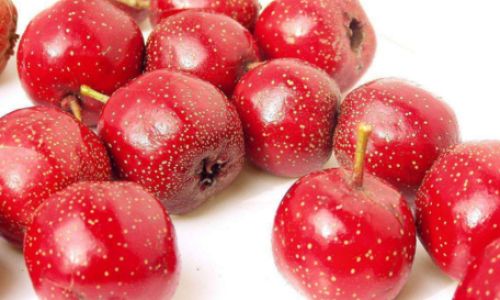 Preserving Fresh Hawthorns for a Delicious Treat:A Comprehensive Guide