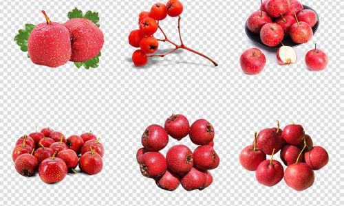 Preserving Fresh Hawthorns for a Delicious Treat:A Comprehensive Guide