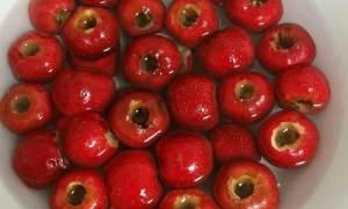 Can Fresh Hawthorns Be Stored in the Refrigerator?An In-Depth Guide