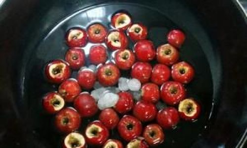 Can Fresh Hawthorns Be Stored in the Refrigerator?An In-Depth Guide