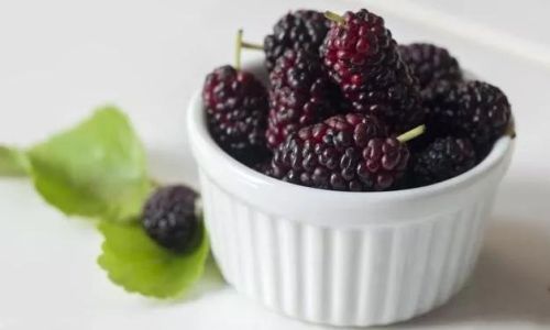 How to Brew Fresh Mulberries into Delicious Wine