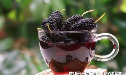 How to Brew Fresh Mulberries into Delicious Wine