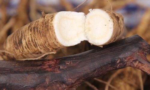 Drying and Preserving Fresh Ginseng:A Comprehensive Guide