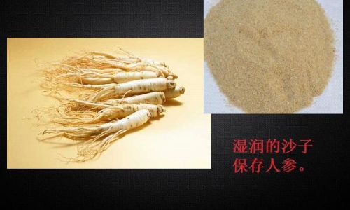 Drying and Preserving Fresh Ginseng:A Comprehensive Guide