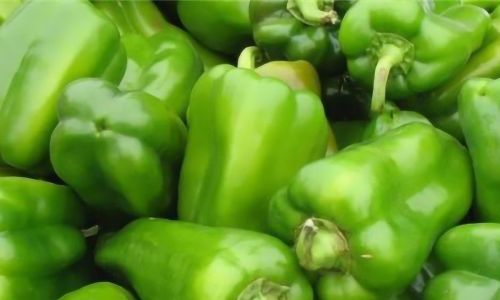 How to Effectively Preserve Fresh Green Peppers for Long-Term Storage