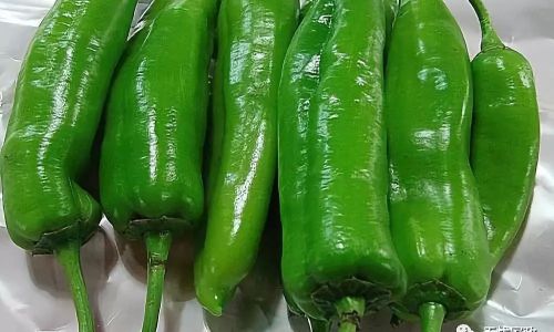 How to Effectively Preserve Fresh Green Peppers for Long-Term Storage