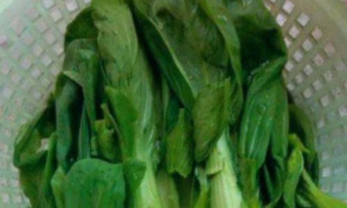 Elevating Fresh Greens:How to Cook Delicious Vegetables
