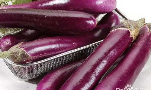 How to Select Fresh Eggplants:A Comprehensive Guide