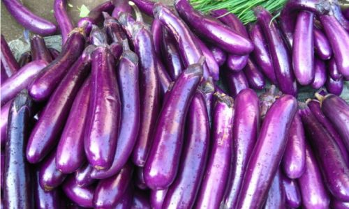 How to Select Fresh Eggplants:A Comprehensive Guide