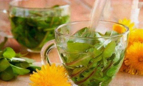 How to Make Fresh Dandelion Tea:A Step-by-Step Guide
