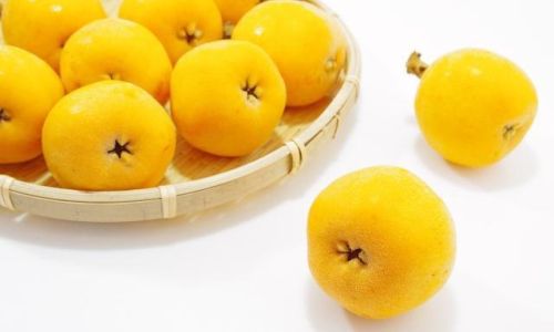 How to Brew Fresh Loquat Water for Cough Relief