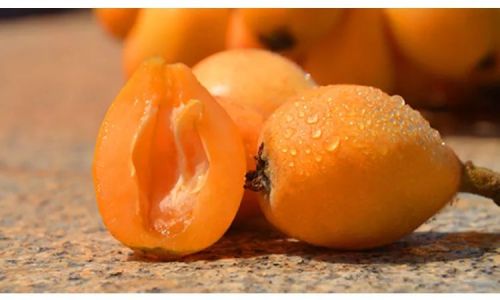 Drying Fresh Loquats:A Comprehensive Guide