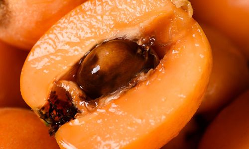 Drying Fresh Loquats:A Comprehensive Guide