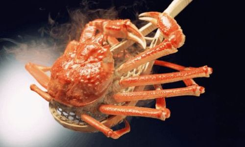 Can Fresh Crabs Be Frozen in the Refrigerator?A Comprehensive Guide