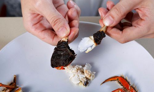 The Correct Way to Clean Fresh Crabs:A Comprehensive Guide