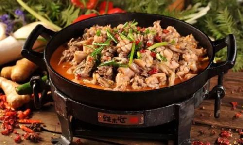 Cooking Fresh Bullfrogs:Delicious and Easy Recipes