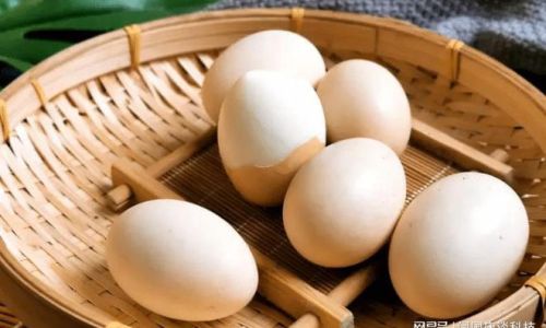Preserving Fresh Milk:Essential Tips to Keep It Fresh Longer