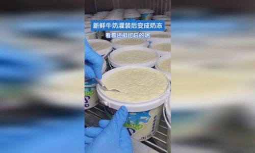 Preserving Fresh Milk:Essential Tips to Keep It Fresh Longer