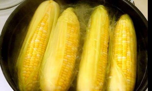 How to Prepare Fresh and Tender Corn on the Cob