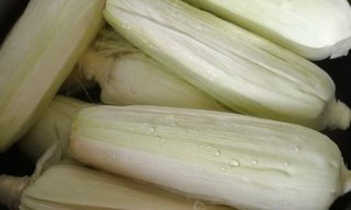 How to Prepare Fresh and Tender Corn on the Cob