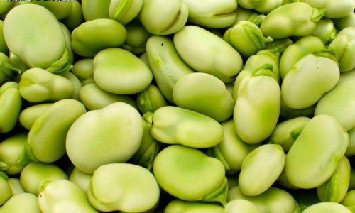 Delightful Ways to Cook Fresh and Tender Broad Beans