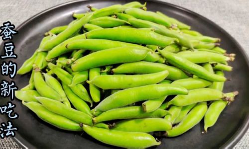 Crafting Delicious Dishes with Fresh and Tender Broad Beans