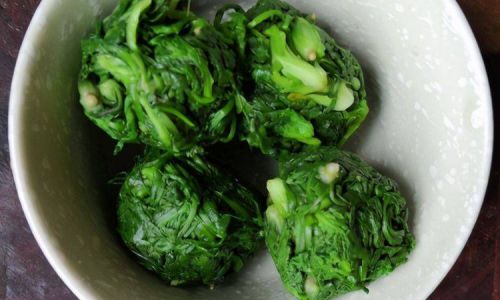 Can Fresh Alfalfa Be Frozen for Preservation?