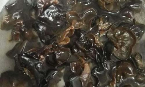 Cooking Fresh Wood Ear Mushrooms:Determining the Optimal Boiling Time