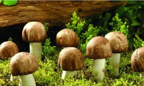 How Long Should Fresh Mushrooms Be Steamed to Achieve Perfect Cookedness?