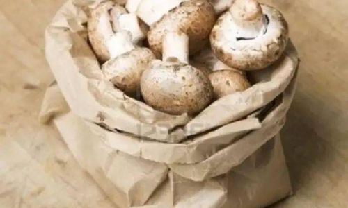 Can Fresh Mushrooms Be Stored in the Refrigerator?