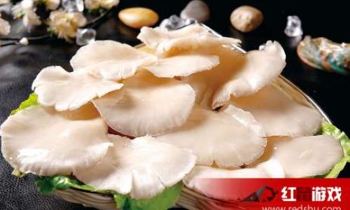 Can Fresh Mushrooms Be Stored in the Refrigerator?