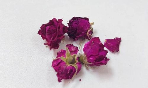 Drying Fresh Roses:A Comprehensive Guide