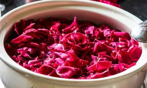 How to Make Fresh Rose Petal Tea:A Step-by-Step Guide